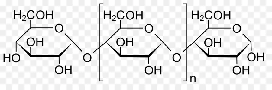 السليلوز，جزيء PNG