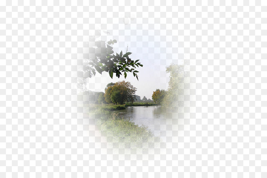 بلوق，Centerblog PNG