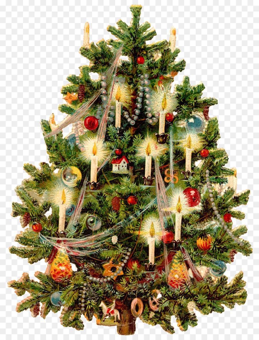 شجرة عيد الميلاد，أسطورة عيد الميلاد العنكبوت PNG