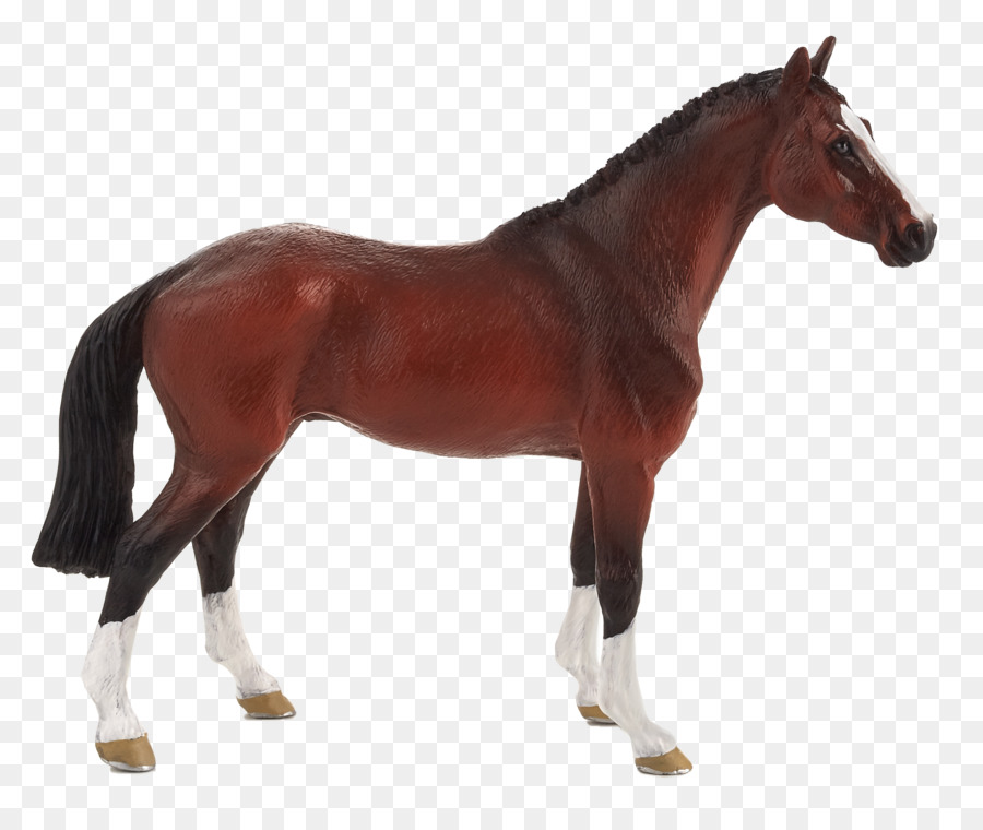 أمريكا الربع الحصان，Appaloosa PNG