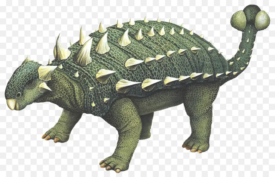 Euoplocephalus，ستيجوسورس PNG