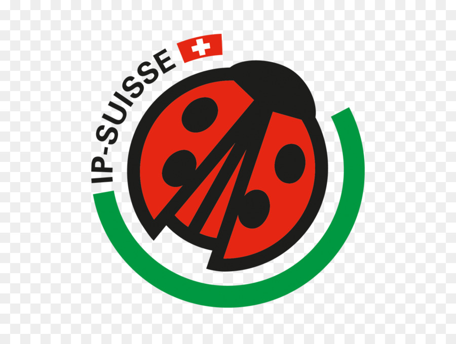 الخنفساء，Ip Suisse PNG