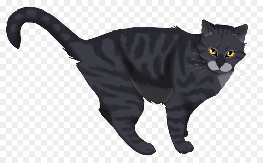 القط الأسود，Chartreux PNG