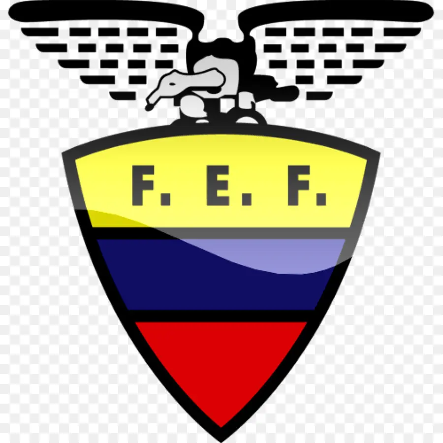 الإكوادور المنتخب الوطني لكرة القدم，إكوادور PNG