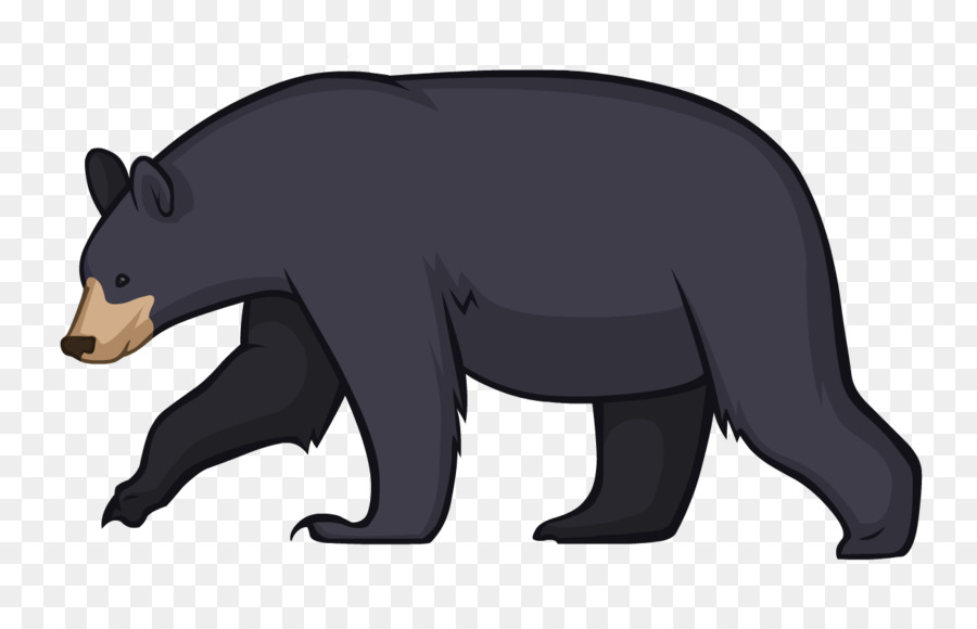 دب，الدب الأسود الأمريكي PNG