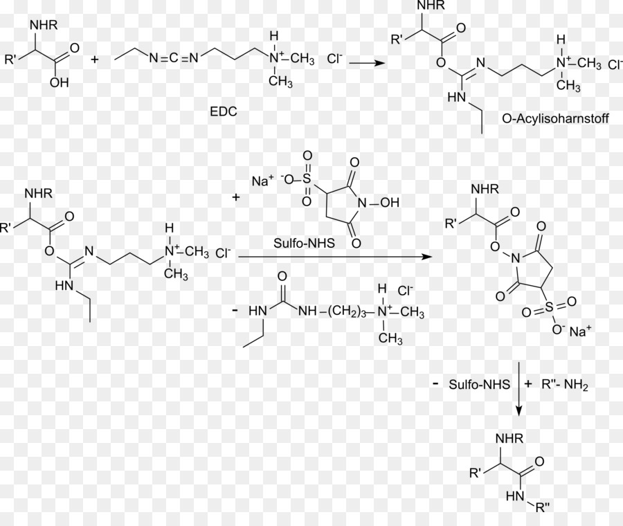 Nhydroxysulfosuccinimide ملح الصوديوم，Nhydroxysuccinimide PNG