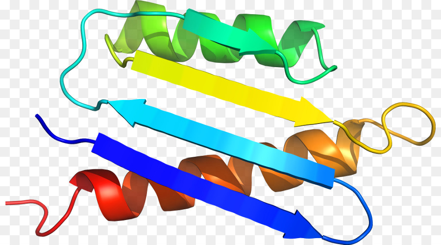 بروتين هيليكس，جزيء PNG