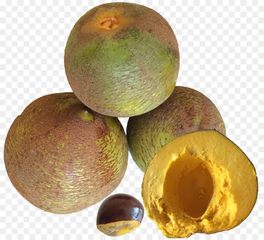 Lucuma，إمبراطورية الإنكا PNG