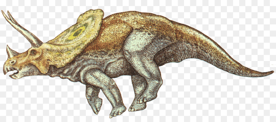 الديناصور，Torosaurus PNG