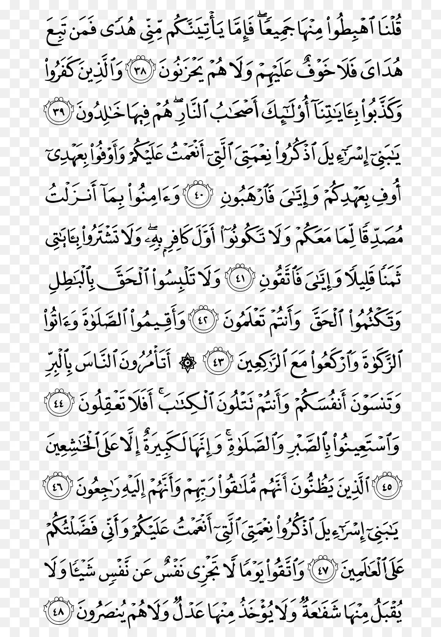 القرآن，Albaqara PNG