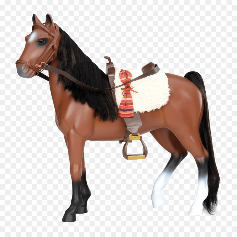 الحصان الأندلسي，أمريكا ترسم الحصان PNG