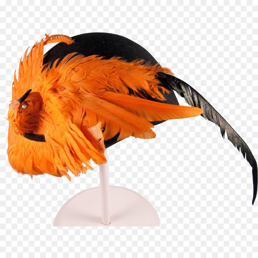 الطيور，قبعة PNG