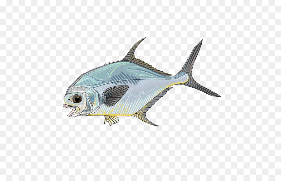 شارات，ذبابة صيد الأسماك PNG