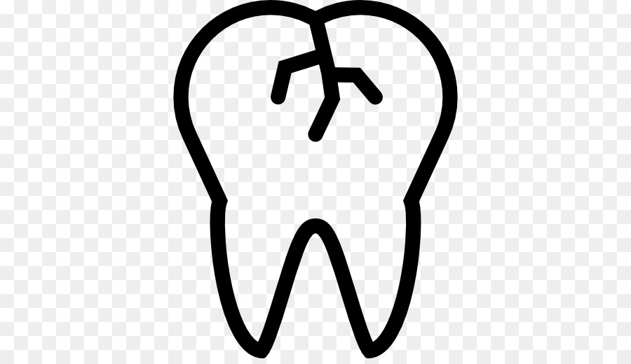 طبيب الأسنان，الأسنان PNG