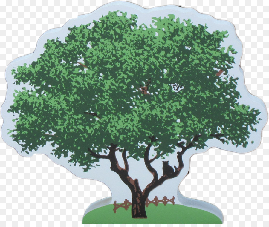 شجرة，البلوط PNG