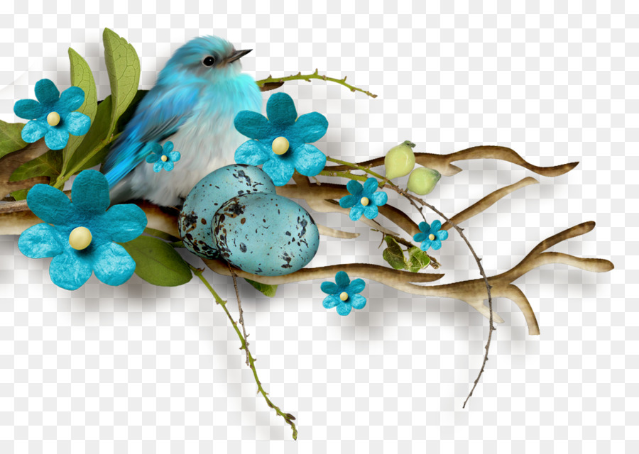 الطيور，الأزرق PNG