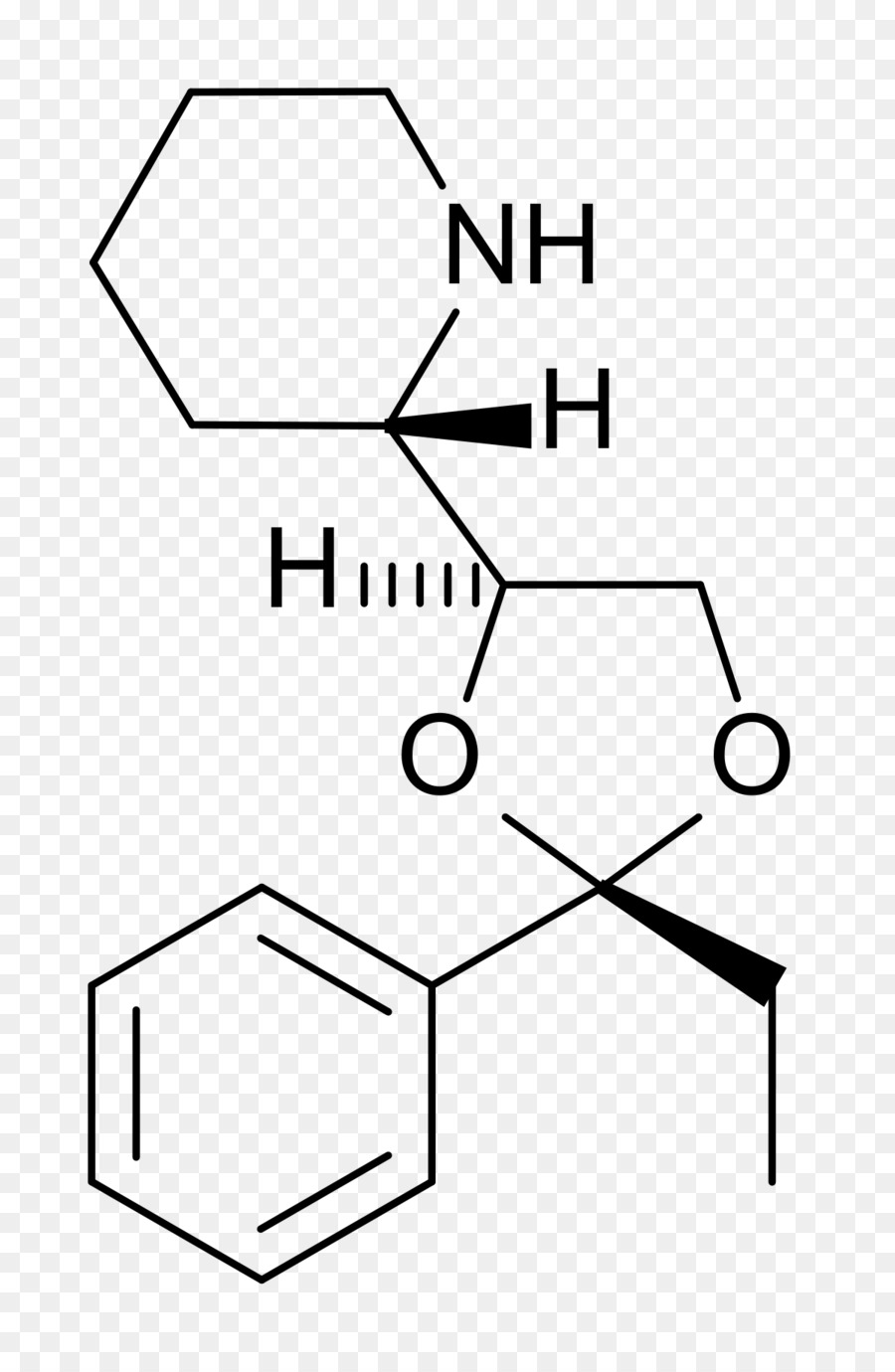 1phenylethylamine，الفينيثيلامين PNG