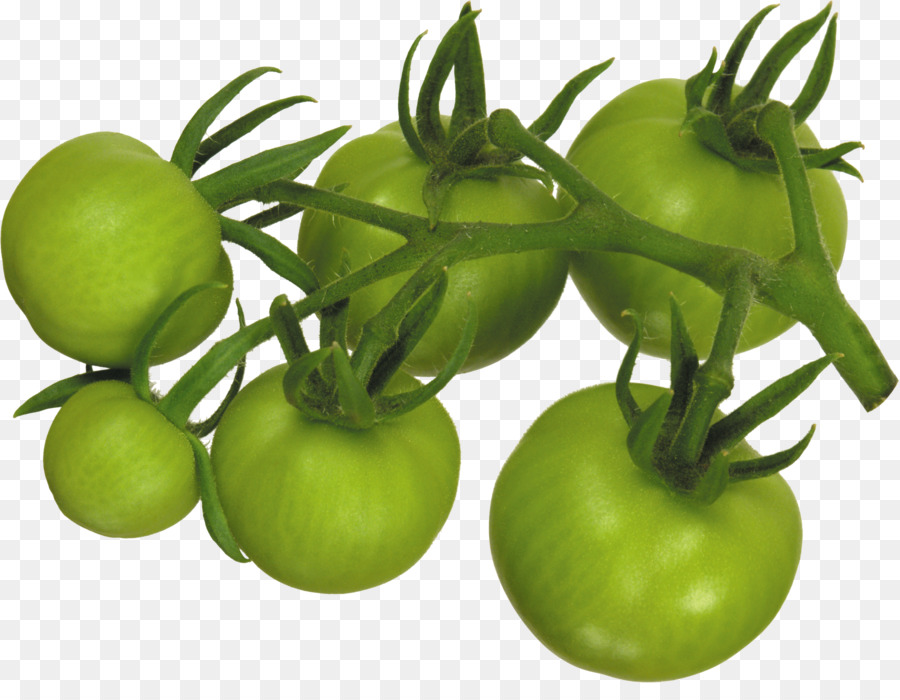 الطماطم，بها معد الكعكات PNG