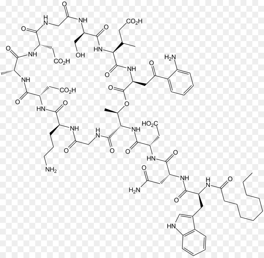 Daptomycin，Mrsa سوبر علة PNG