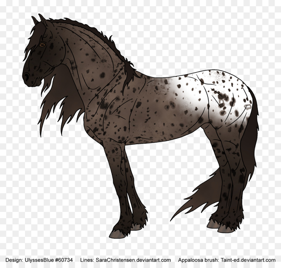 الفريزيان الحصان，موستانج PNG
