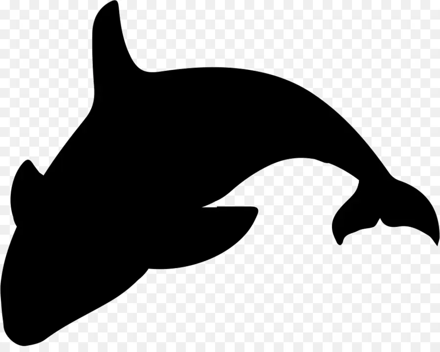 الحوت القاتل，الحوت PNG