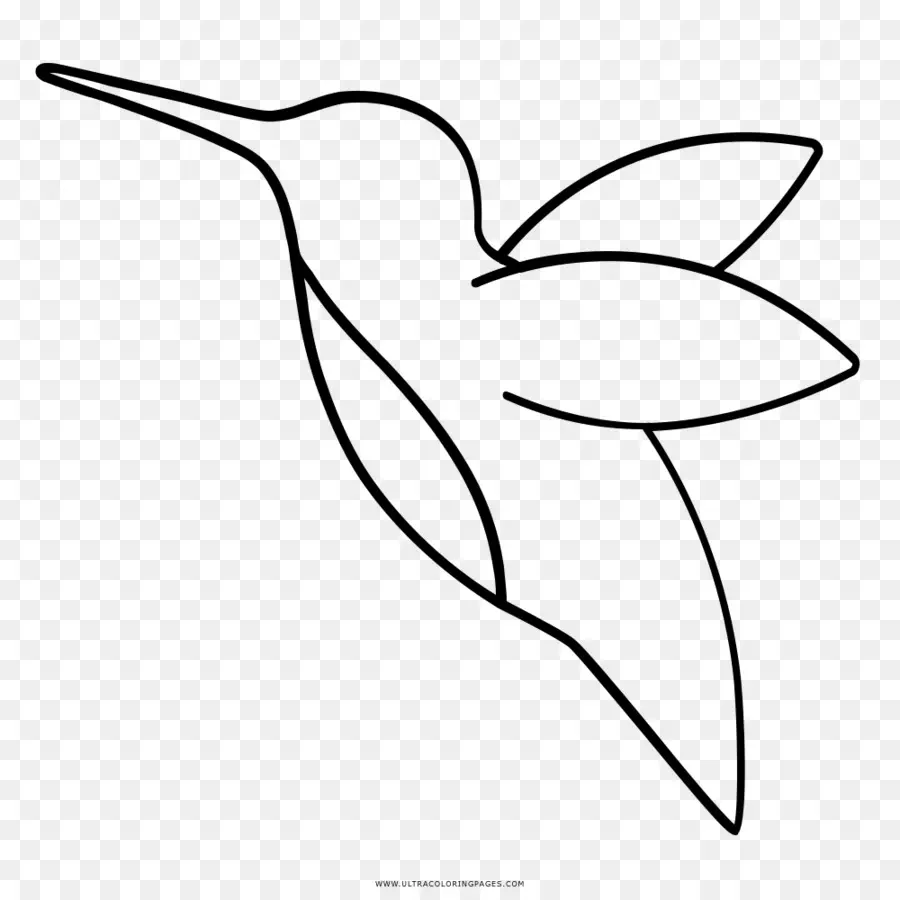 الطائر الطنان，الرسم PNG