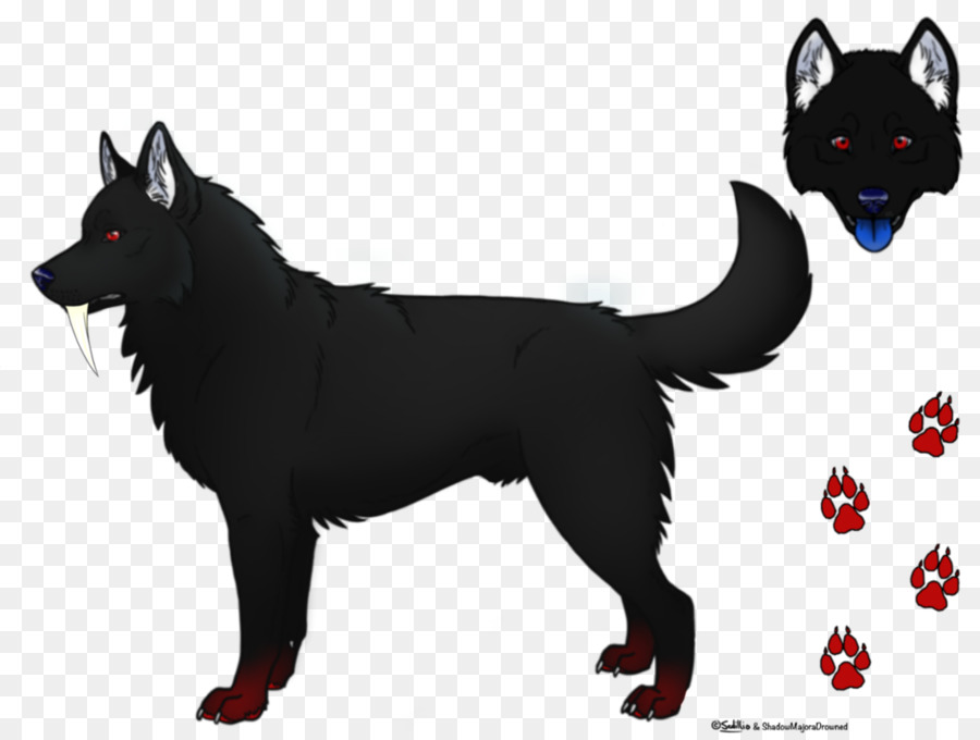 Schipperke，أجش سيبيريا PNG