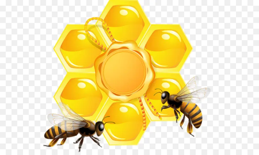 نحلة，خلية النحل PNG