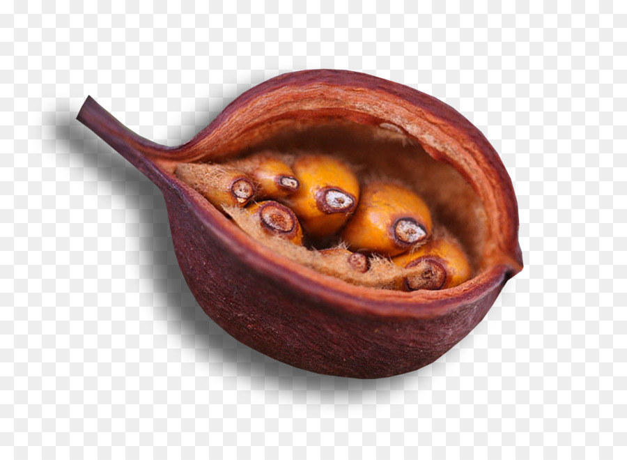 وعاء，عشب البحر PNG