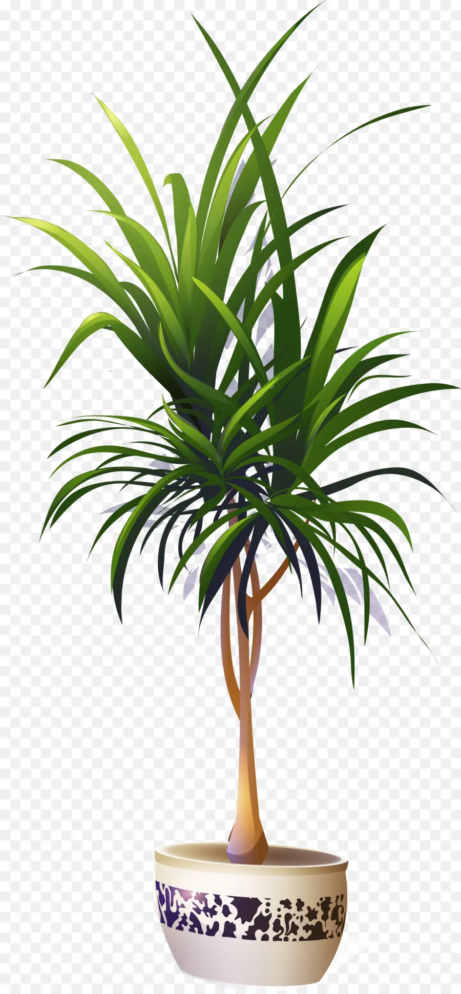 Arecaceae，ل Houseplant PNG