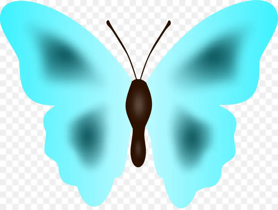 فراشة，Nymphalidae PNG