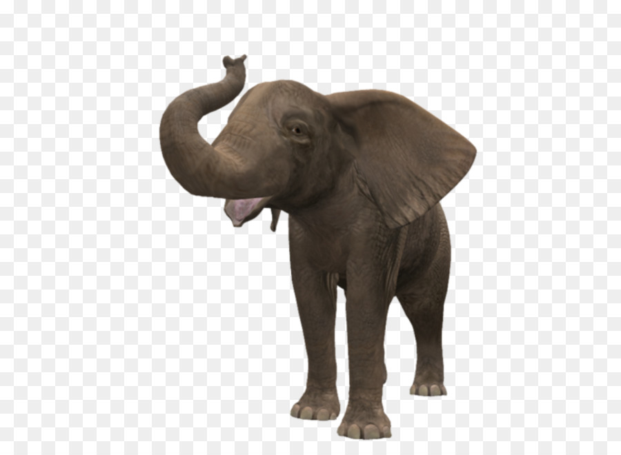 الفيل，الفيل الأفريقي بوش PNG