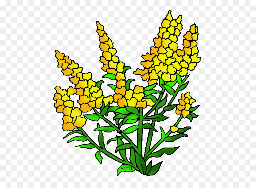 نبراسكا，Goldenrod PNG