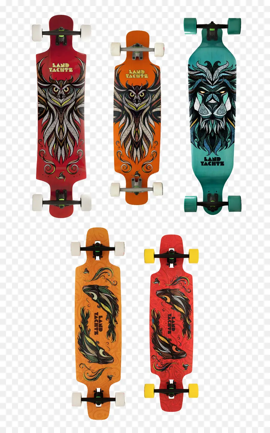 Longboard，Longboarding PNG