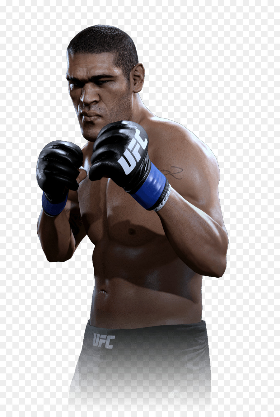 برادال سيري，قفازات الملاكمة PNG