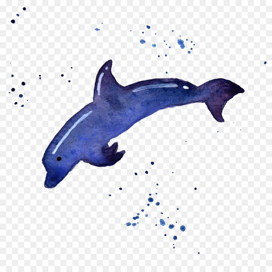 الدلفين Roughedoothed，خنزير البحر PNG