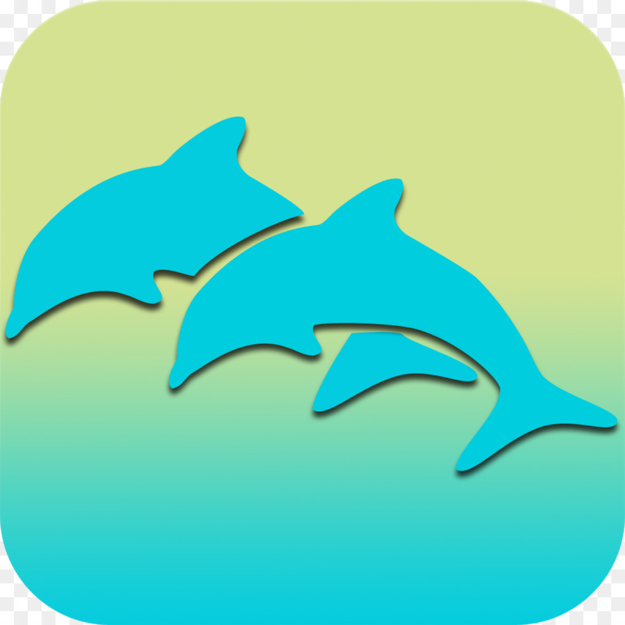 Squiem Shark，سمك القرش PNG