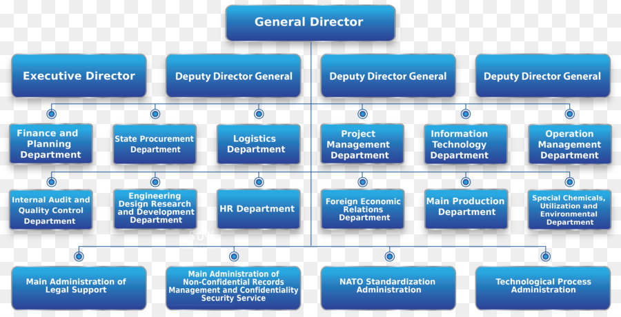 الهيكل التنظيمي，المنظمة PNG