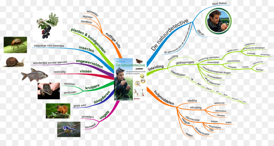 خريطة العقل，بوزان هو Imindmap PNG