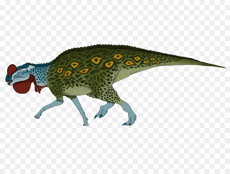 Austroraptor，الديناصور PNG