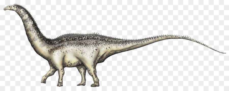 Velociraptor，Tyrannosaurus PNG