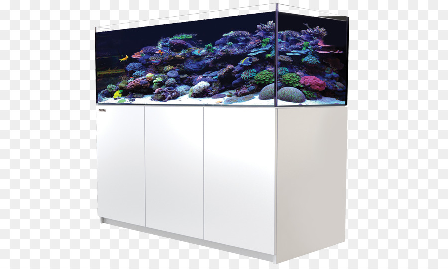 Red Sea Reefer Xl 525，Red Sea Reefer Xl 425 PNG