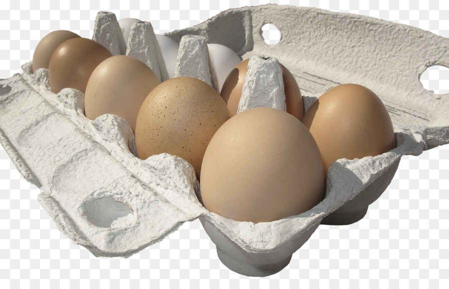 الدجاج，البيض المقلي PNG