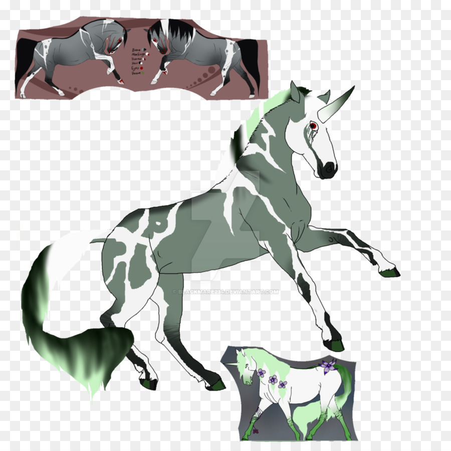 الحصان，حزمة الحيوان PNG