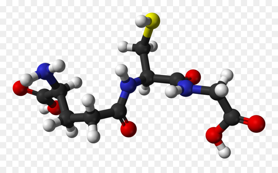 الجلوتاثيون，مضادات الأكسدة PNG