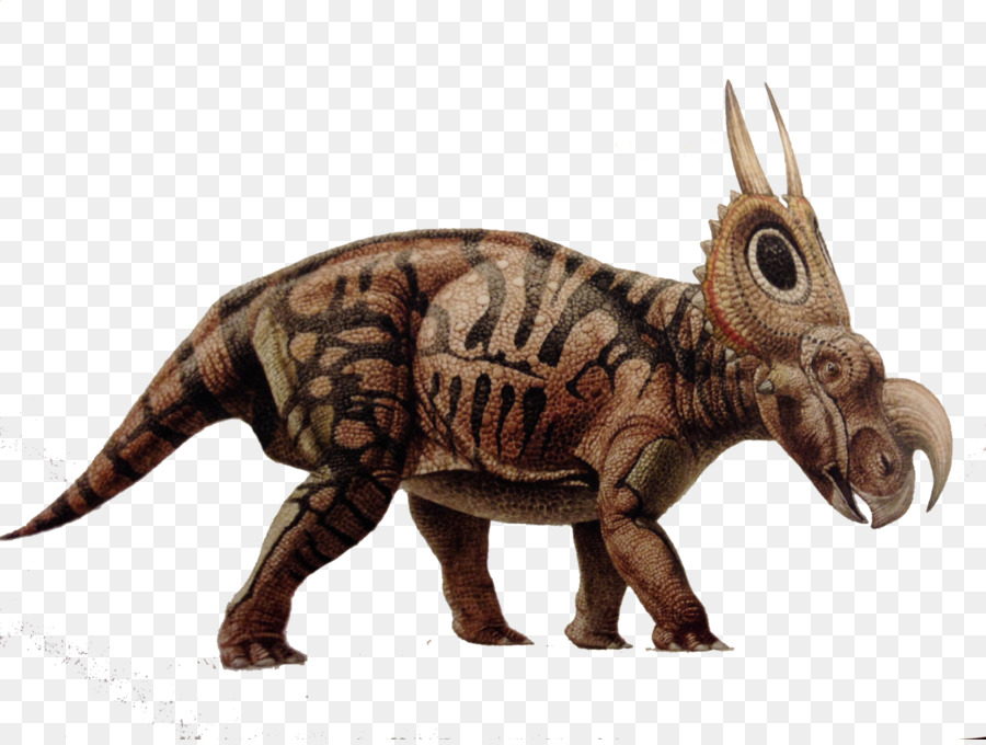 الديناصور，Diabloceratops PNG