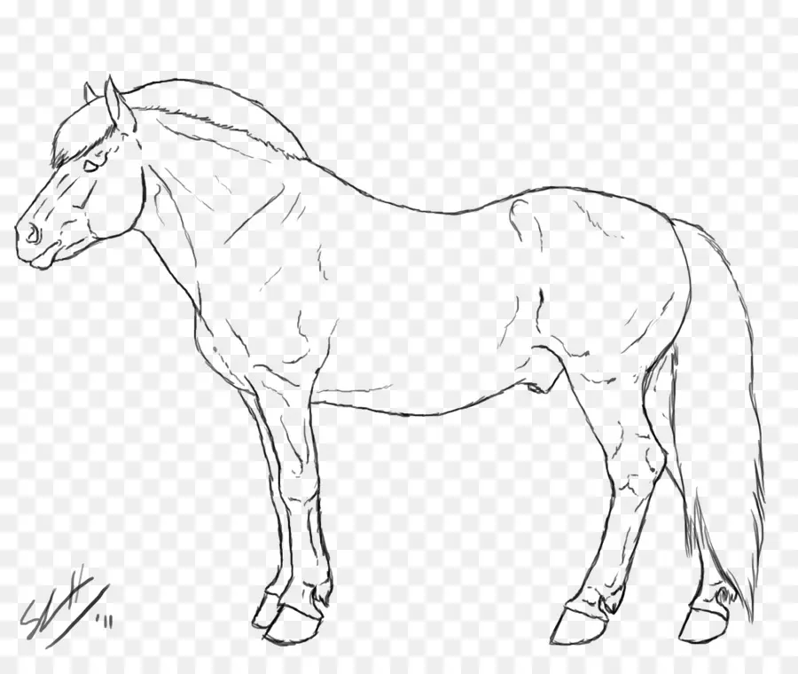 المضيق الحصان，فن الخط ، PNG