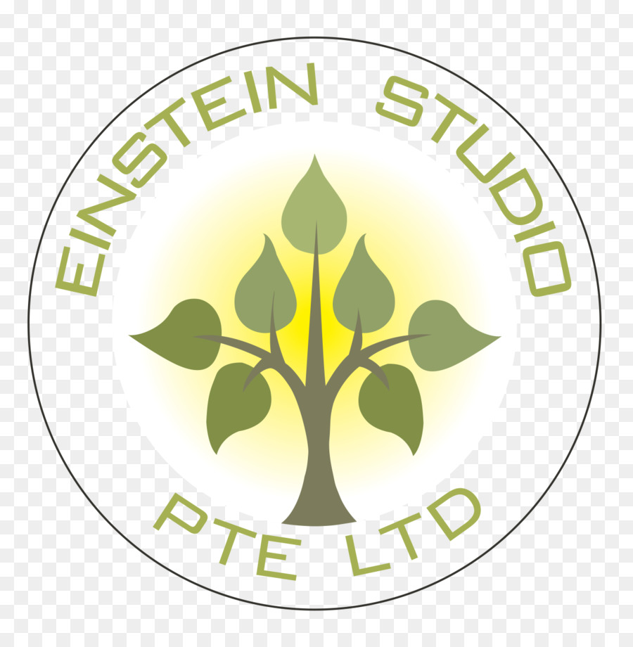 اينشتاين استوديو بي تي إي المحدودة，خدمات التصميم الداخلي PNG