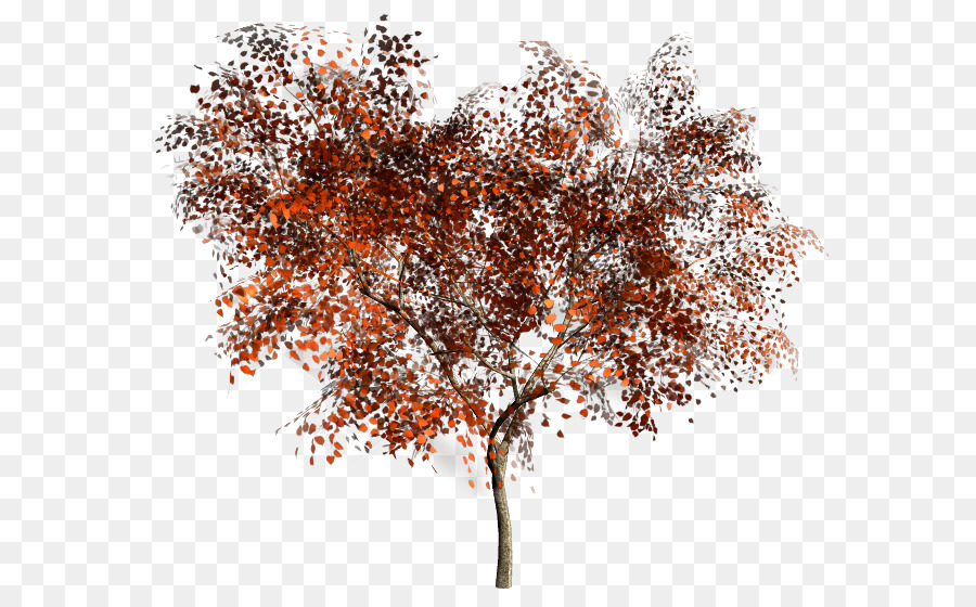 شجرة，الصورة الرقمية PNG