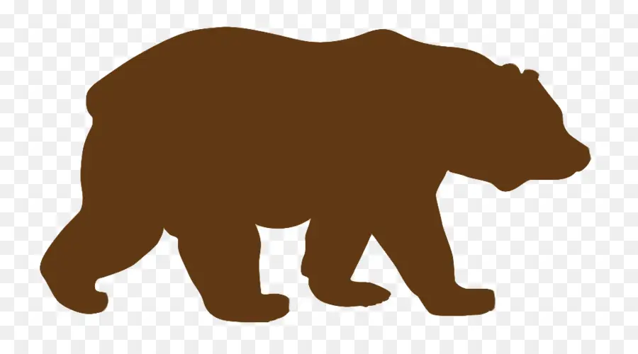 الدب，الدب الأسود الأمريكي PNG